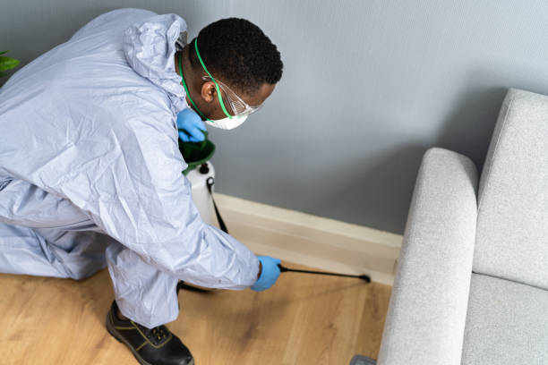 Best Commercial Pest Control  in Ormond By The Sea, FL